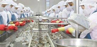 Xuất khẩu chuyển dịch từ lượng sang chất