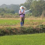 Đông Nam Á đối mặt nguy cơ thiếu phân bón khi giá tăng mạnh do xung đột Iran