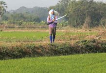 Đông Nam Á đối mặt nguy cơ thiếu phân bón khi giá tăng mạnh do xung đột Iran