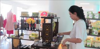 Lan tỏa và nâng tầm văn hóa ẩm thực xứ Huế