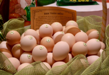 Không gian trưng bày, thực phẩm cho người Việt