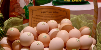 Không gian trưng bày, thực phẩm cho người Việt