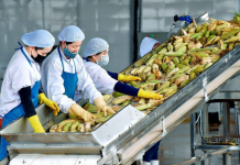 Xuất khẩu nông sản Việt ảnh hưởng lớn từ xung đột Trung Đông