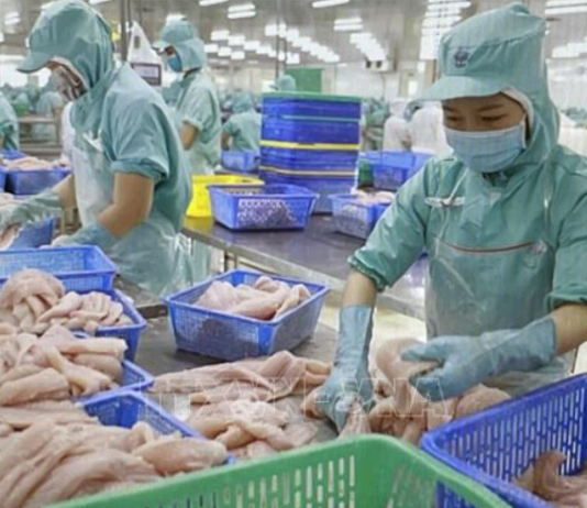 Tận dụng thời cơ, vượt qua thách thức tiếp tục phát triển nhanh và bền vững đất nước