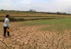 El Nino rất mạnh tác động đến Việt Nam ra sao?