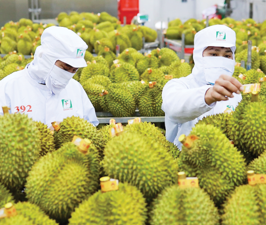 Gỡ “nút thắt” trong kiểm nghiệm để thúc đẩy xuất khẩu sầu riêng và nông sản