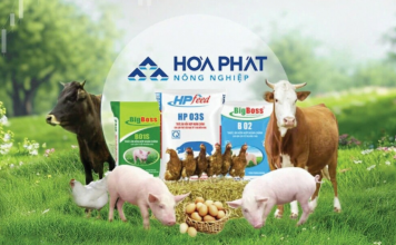 Khi những “trang trại công nghiệp” đang từng bước định hình hệ sinh thái nông nghiệp