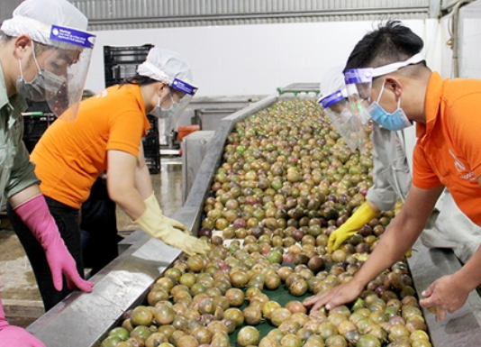 Doanh nghiệp xuất khẩu thực phẩm cần lưu ý quy định đăng ký mới của Trung Quốc