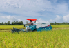 Động lực mới để nâng sức cạnh tranh cho nông sản Việt