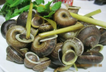 Ăn con đặc sản “nhơn nhớt”: Giòn, ngon, lạ khiến thực khách mê mẩn