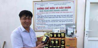 Trám đen Thanh Chương, từ mọc tự nhiên lên đời thành đặc sản