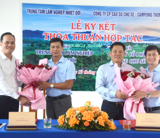 Cao su Chư Sê – Kampong Thom hợp tác toàn diện với Trung tâm Lâm nghiệp Nhiệt đới