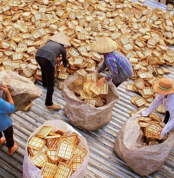 Biến cây dại thành hàng xuất khẩu, nhà nông kiếm bộn tiền