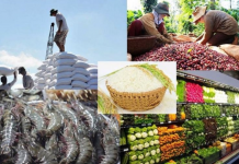 5 tháng đầu năm xuất khẩu nông lâm thủy sản đạt gần 30 tỷ USD