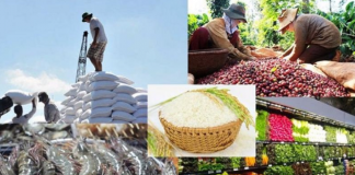 5 tháng đầu năm xuất khẩu nông lâm thủy sản đạt gần 30 tỷ USD