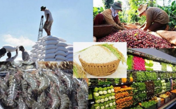 5 tháng đầu năm xuất khẩu nông lâm thủy sản đạt gần 30 tỷ USD