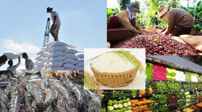 5 tháng đầu năm xuất khẩu nông lâm thủy sản đạt gần 30 tỷ USD