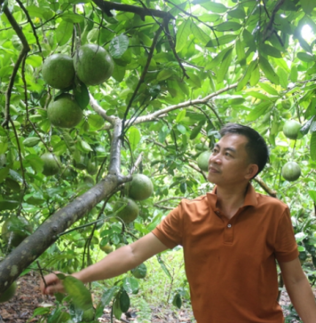 Trồng cây ăn quả nhàn tênh nhờ hệ thống tưới tự động