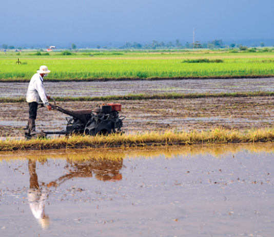 Cơ giới hóa giúp nông nghiệp bứt phá