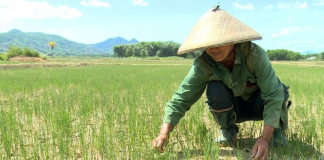 Nhiều đợt nắng nóng gay gắt ở Bắc và Trung Bộ trong tháng 6