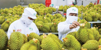 Hệ thống truy xuất nguồn gốc nâng tầm vị thế nông sản Việt