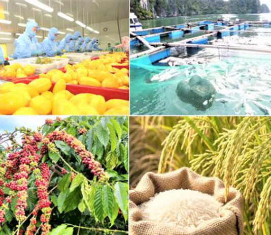 Xuất khẩu nông, lâm, thủy sản tăng hơn 10% so với cùng kỳ