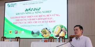 Lâm Đồng: Đẩy mạnh các giải pháp phát triển sầu riêng bền vững, thích ứng biến đổi khí hậu