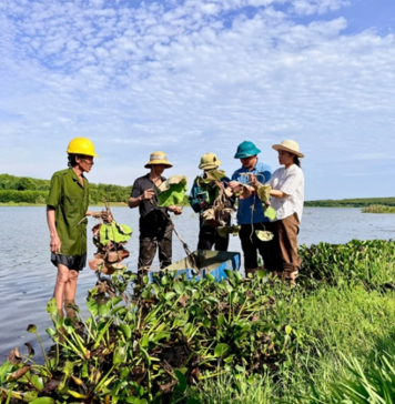 Quảng Trị: Chuyển đổi đất nông nghiệp kém hiệu quả sang trồng sen