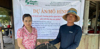 Phát triển mô hình nuôi thương phẩm ngao hai cùi thích ứng với biến đổi khí hậu
