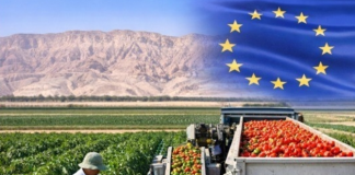 10 sự thật thú vị về nền nông nghiệp Israel và liên hệ thực tiễn với Việt Nam