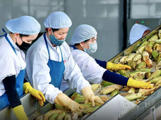 Cục Hải quan yêu cầu ưu tiên thông quan nông sản xuất khẩu trong ngày