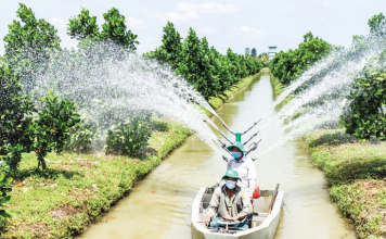 Nông nghiệp đang thúc đẩy quá trình chuyển dịch từ sản xuất truyền thống sang kinh tế nông nghiệp hiện đại