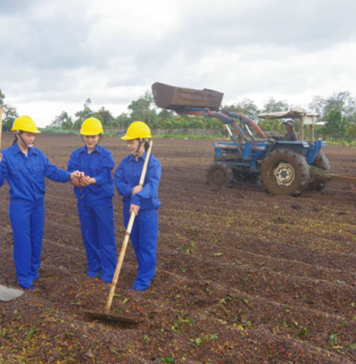 OCOP Đắk Lắk: Từ chuẩn hóa sản phẩm đến chinh phục thị trường