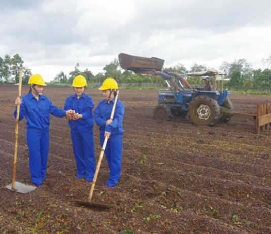 OCOP Đắk Lắk: Từ chuẩn hóa sản phẩm đến chinh phục thị trường