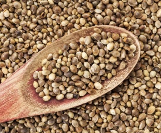 7 nguồn axit béo omega – 3 thực vật có lợi cho sức khoẻ