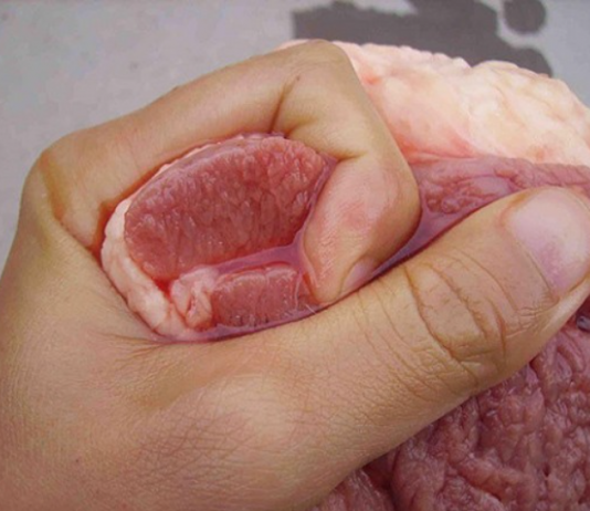 Thịt lợn có 3 đặc điểm này, rẻ đến mấy cũng chớ mua