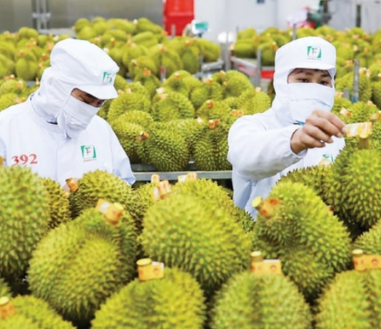 Hệ thống truy xuất nguồn gốc nâng tầm vị thế nông sản Việt