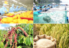 Xuất khẩu nông, lâm, thủy sản tăng hơn 10% so với cùng kỳ