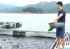 Làm giàu từ nghề nuôi cá lồng trên dòng sông Gâm