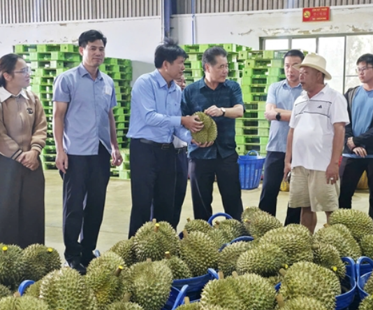MSVT, MSCSĐG: “Tấm vé thông hành” và cam kết chất lượng bền vững