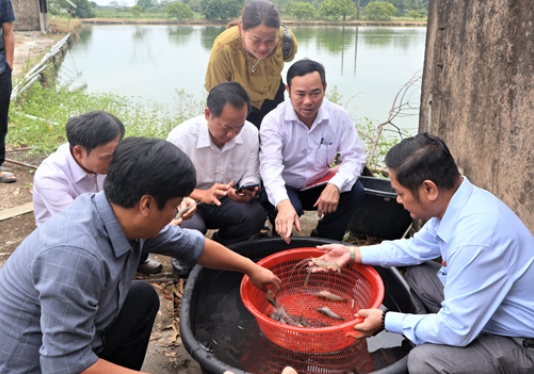 Hà Tĩnh lần đầu tiên có cơ sở nuôi tôm càng xanh đạt tiêu chuẩn VietGAP